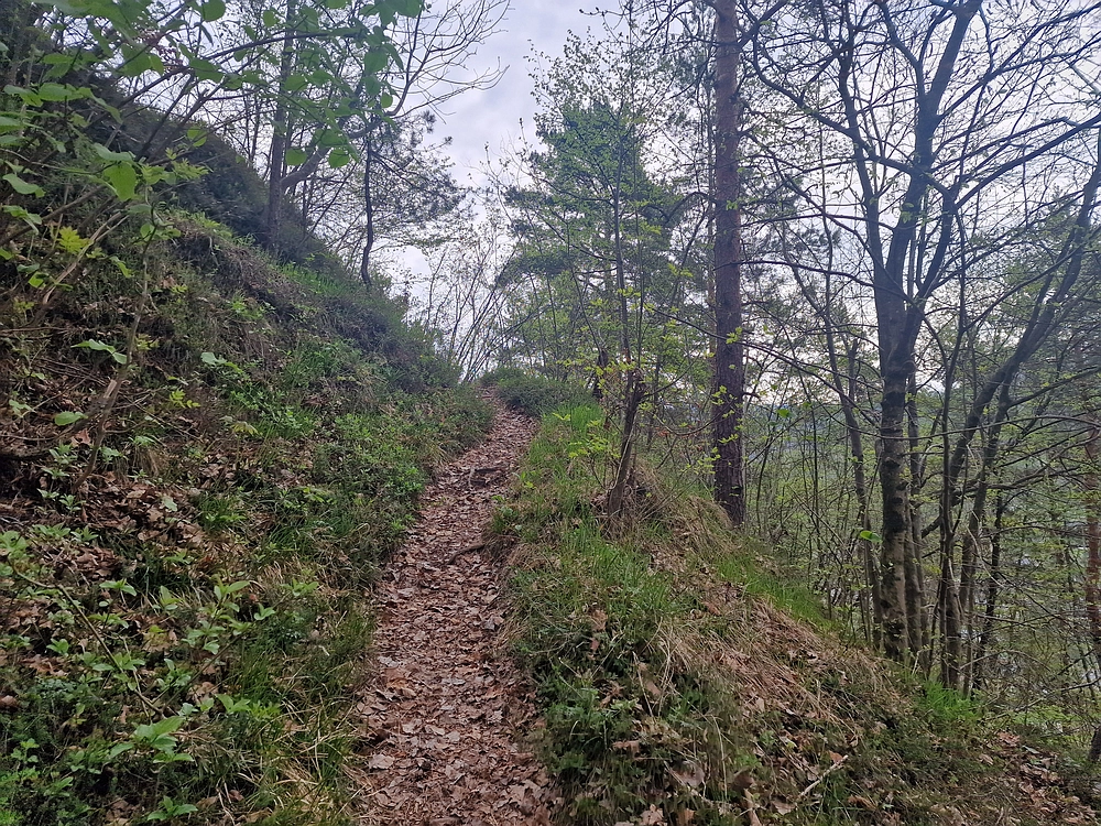 Javor, 14. 4. 2026