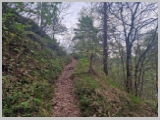 Slika_006.webp
