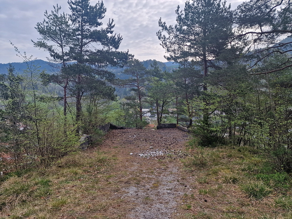 Javor, 14. 4. 2026