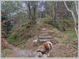 Slika_009.webp