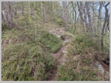 Slika_010.webp