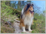 Slika_012.webp