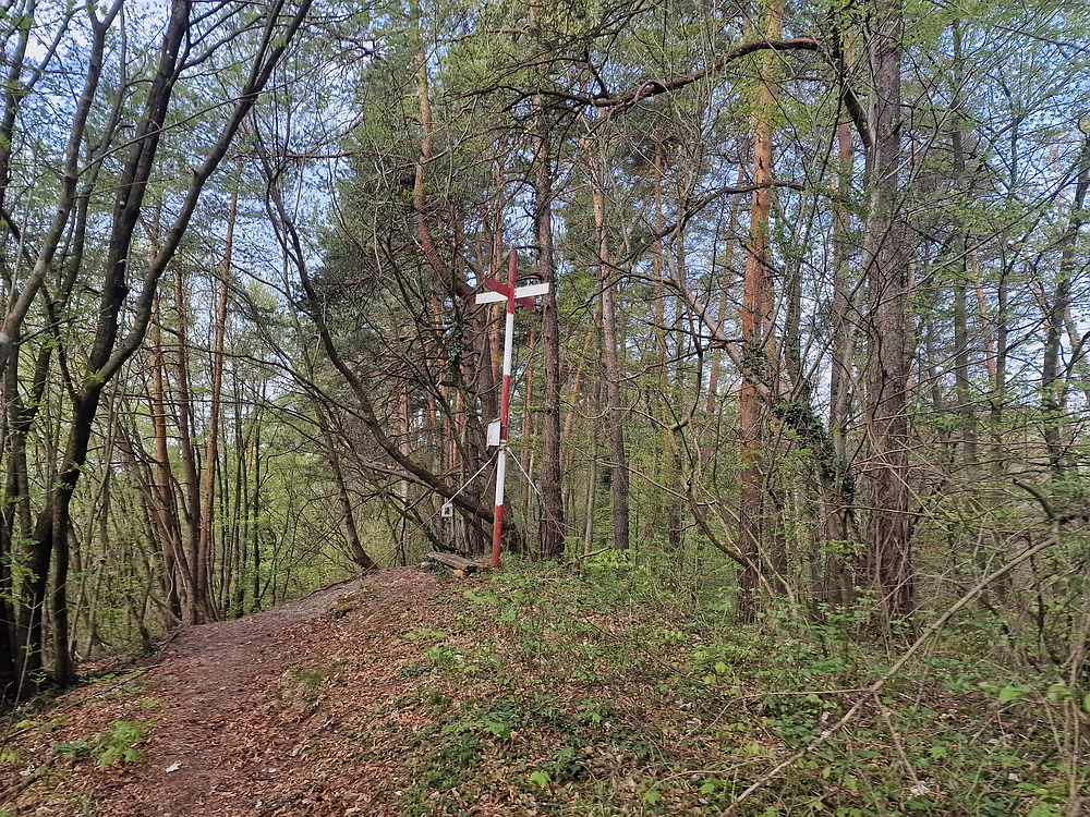 Javor, 14. 4. 2026