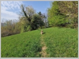 Slika_026.webp