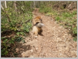 Slika_028.webp
