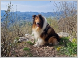 Slika_032.webp