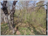 Slika_037.webp