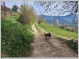 Slika_038.webp