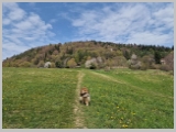 Slika_039.webp
