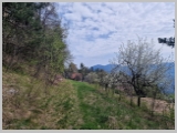 Slika_042.webp