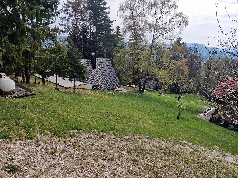 Javor, 14. 4. 2026