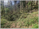 Slika_047.webp