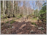Slika_049.webp
