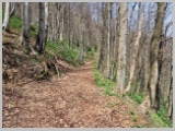 Slika_053.webp