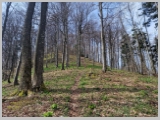 Slika_054.webp