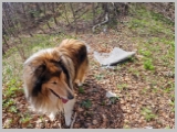 Slika_055.webp