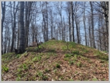 Slika_057.webp