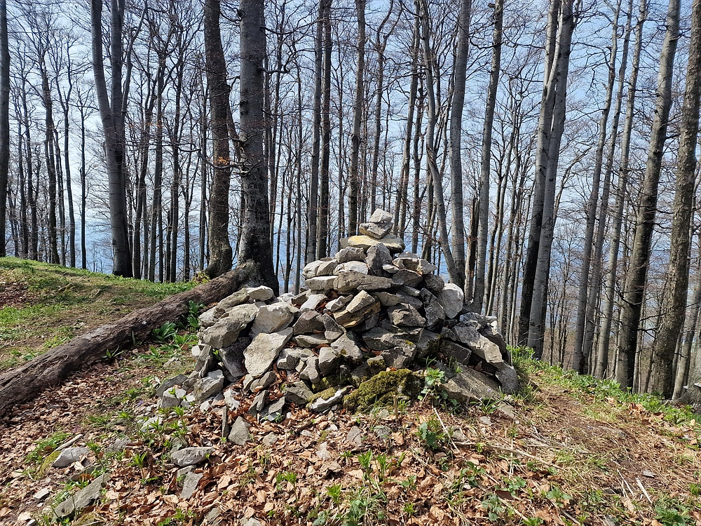 Javor, 14. 4. 2026