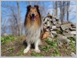 Slika_059.webp