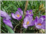 Slika_064.webp