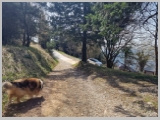 Slika_068.webp