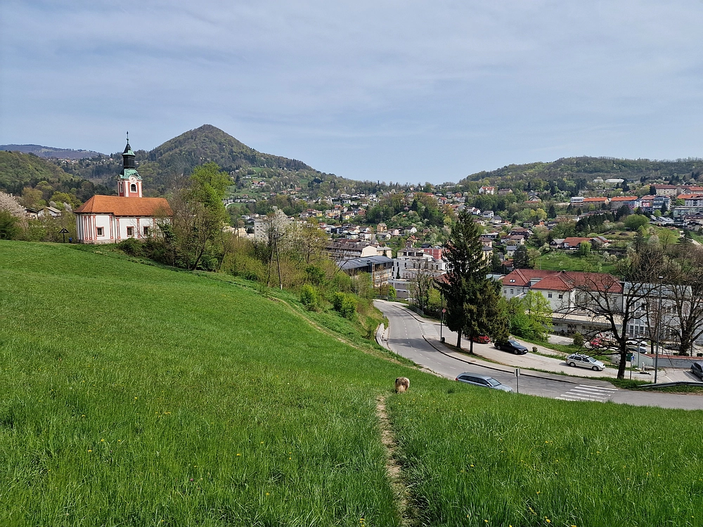 Javor, 14. 4. 2026