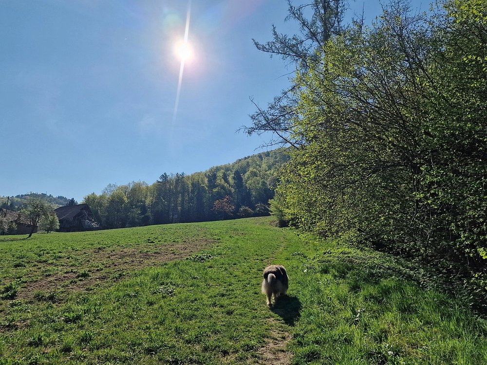 Malič, 18. 4. 2026