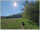 Slika_003.webp