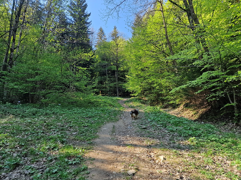 Malič, 18. 4. 2026