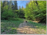 Slika_005.webp