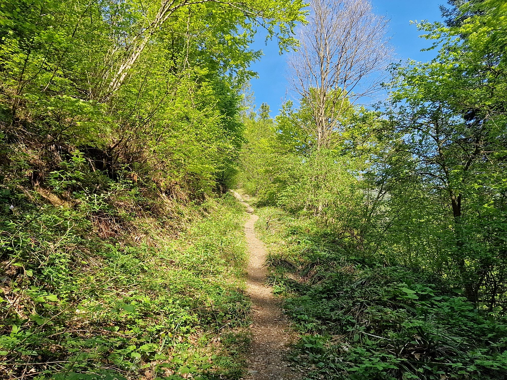 Malič, 18. 4. 2026