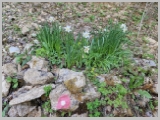 Slika_011.webp