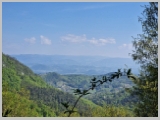 Slika_012.webp