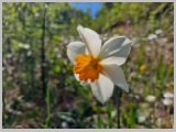 Slika_013.webp