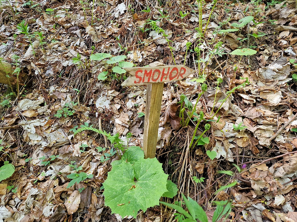 Malič, 18. 4. 2026