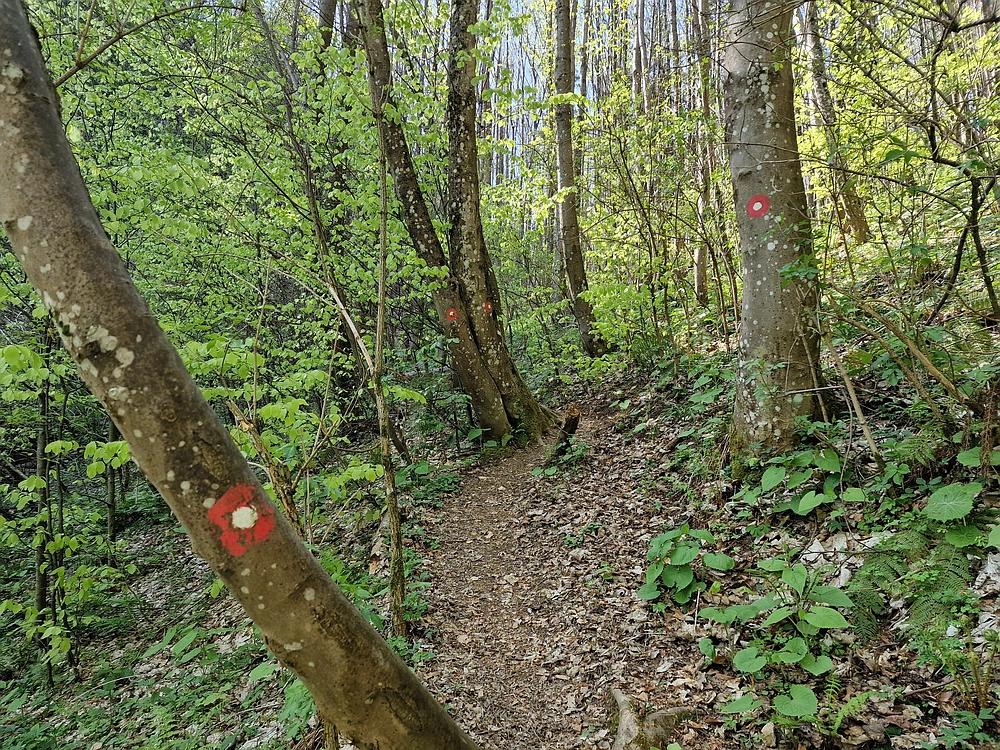 Malič, 18. 4. 2026