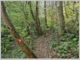 Slika_016.webp