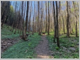 Slika_017.webp