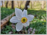 Slika_018.webp