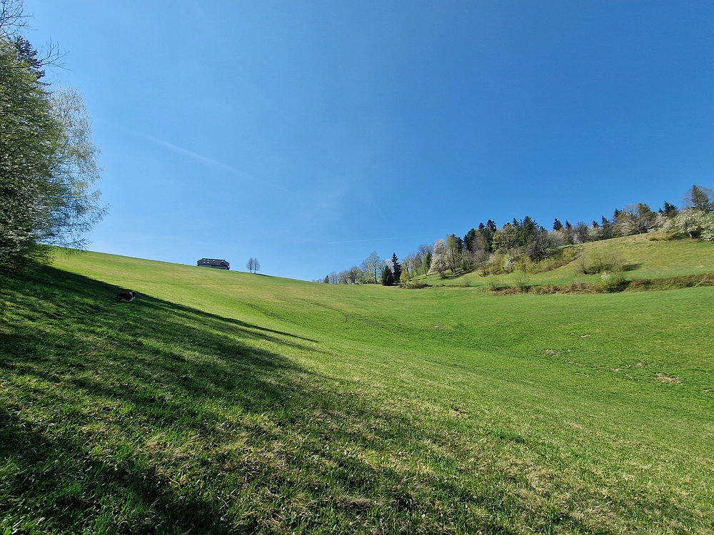 Malič, 18. 4. 2026