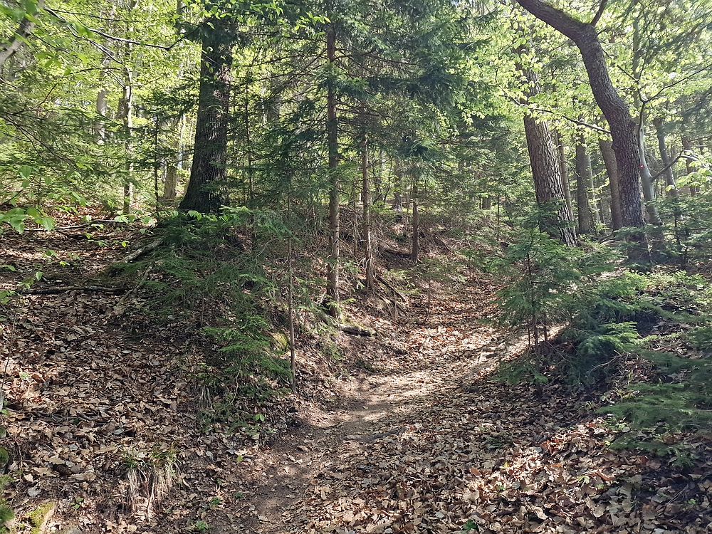Malič, 18. 4. 2026