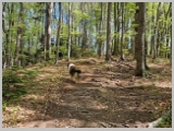 Slika_029.webp