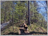 Slika_033.webp