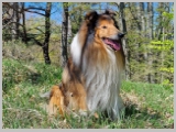 Slika_034.webp