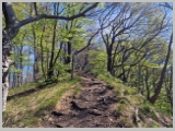 Slika_036.webp