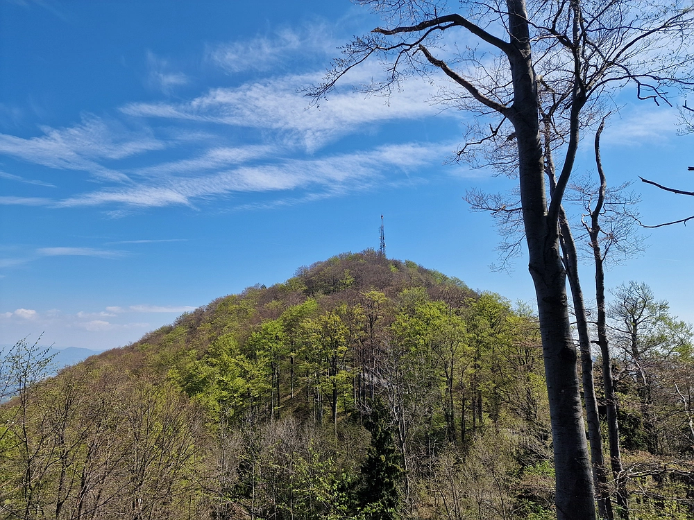 Malič, 18. 4. 2026