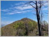 Slika_037.webp