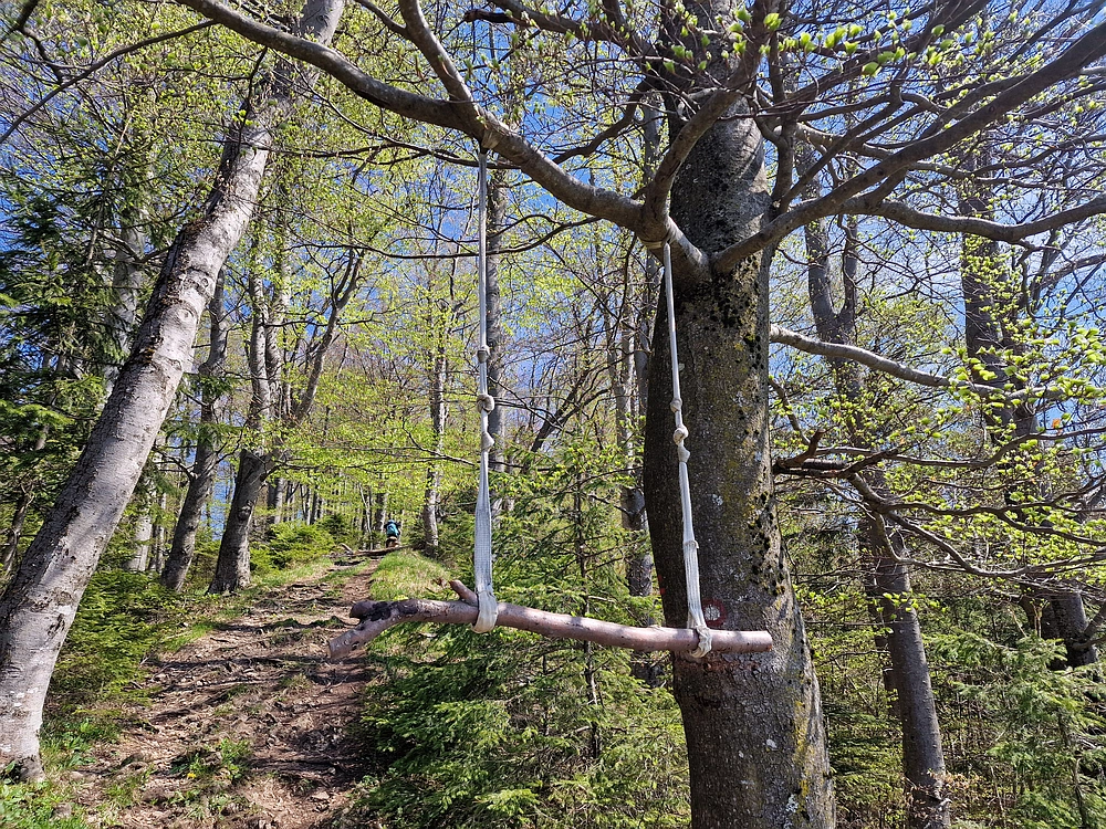 Malič, 18. 4. 2026
