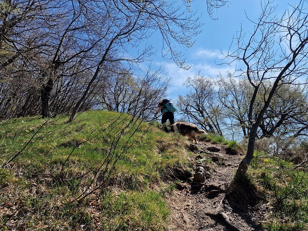 Malič, 18. 4. 2026