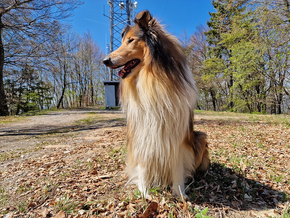 Malič, 18. 4. 2026